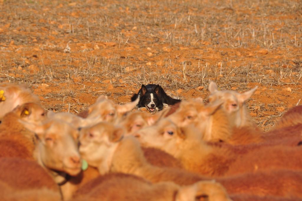Agroturisme Can Bessol S'Horta Esterno foto
