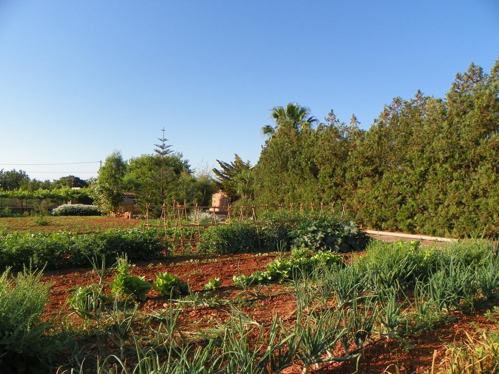 Agroturisme Can Bessol S'Horta Esterno foto