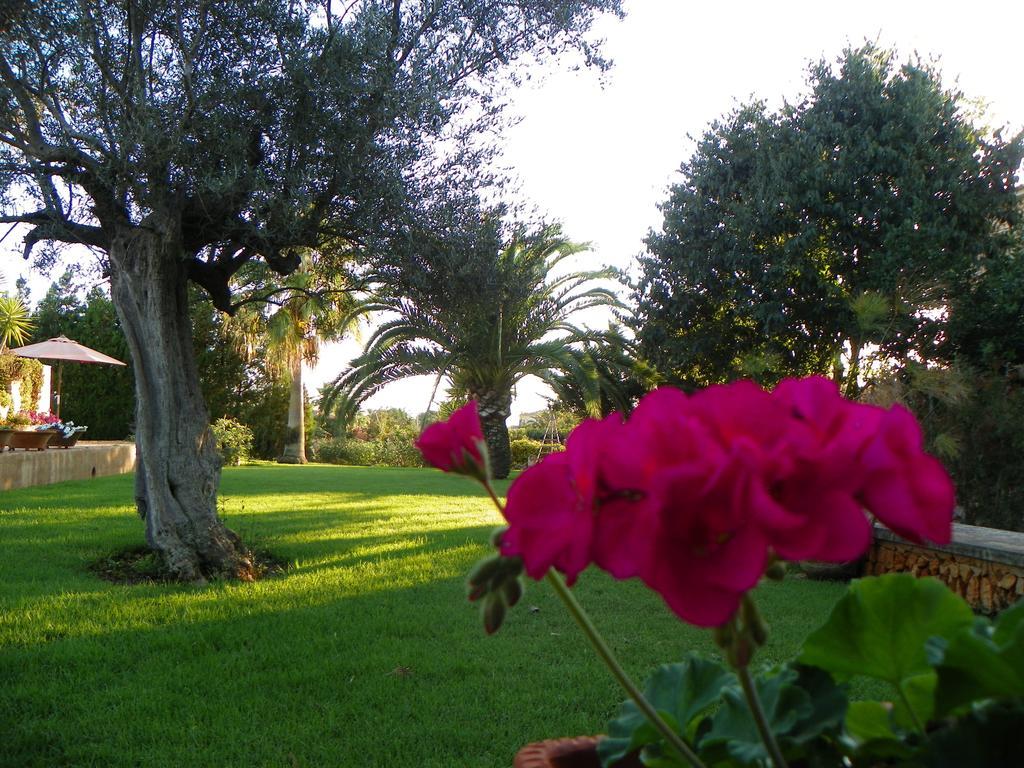 Agroturisme Can Bessol S'Horta Esterno foto