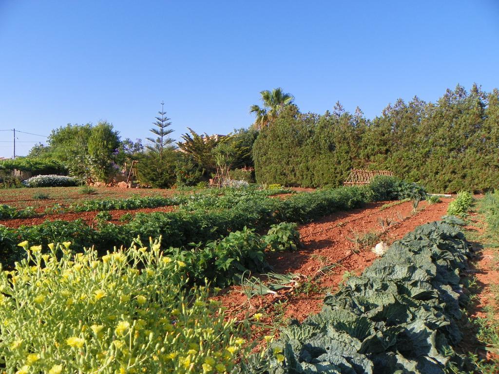 Agroturisme Can Bessol S'Horta Esterno foto